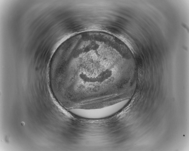 X0000098071142200804181126