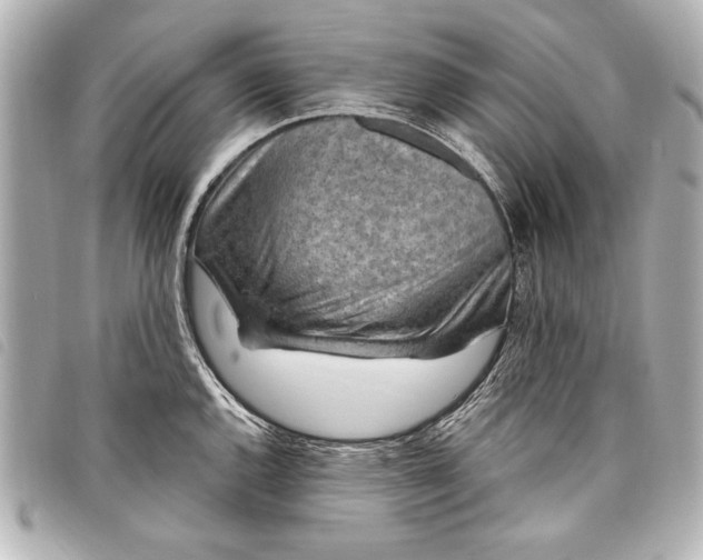 X0000098071144200804181126