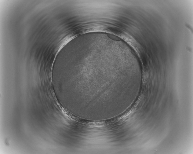 X0000098071145200804181126