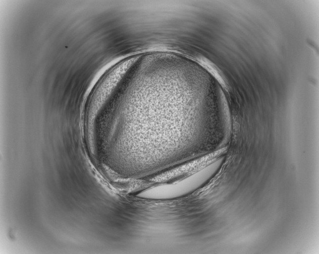 X0000098071148200804181126