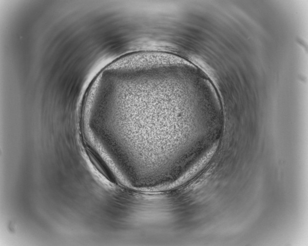 X0000098071152200804181126