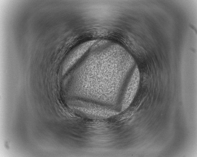 X0000098071153200804181125