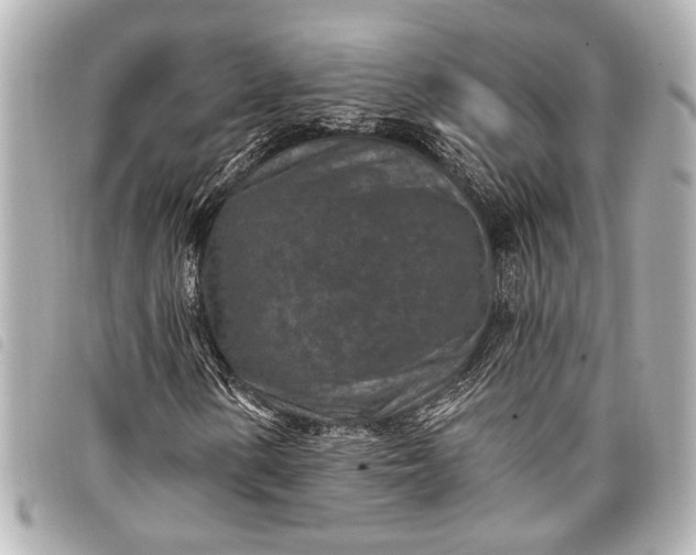 X0000098071154200804181125