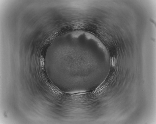 X0000098071155200804181125