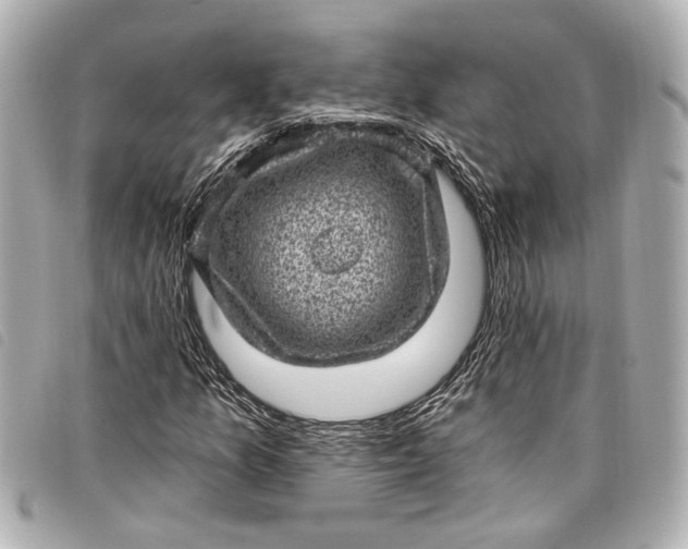 X0000098071157200804181125