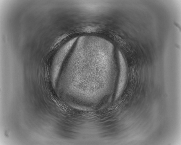 X0000098071158200804181125