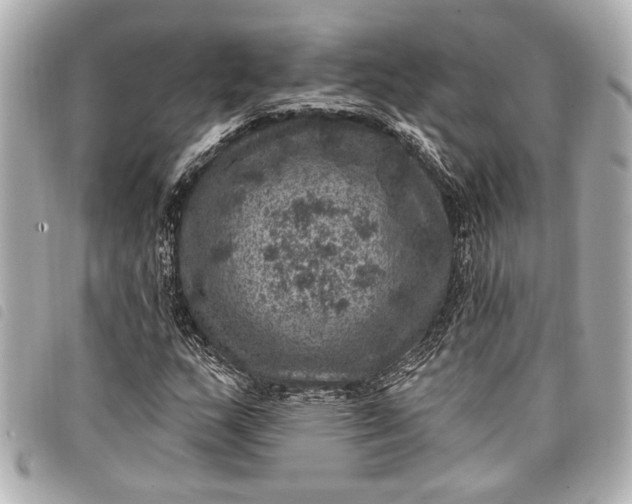 X0000098071159200804181125