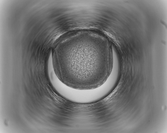 X0000098071161200804181125