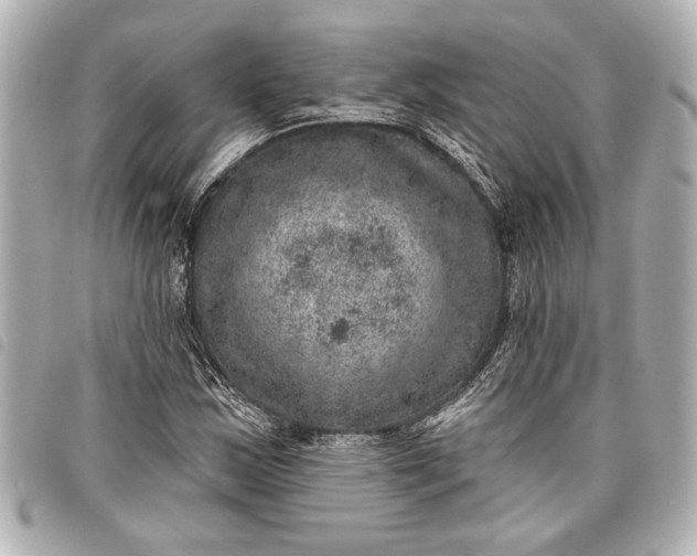 X0000098071163200804181125