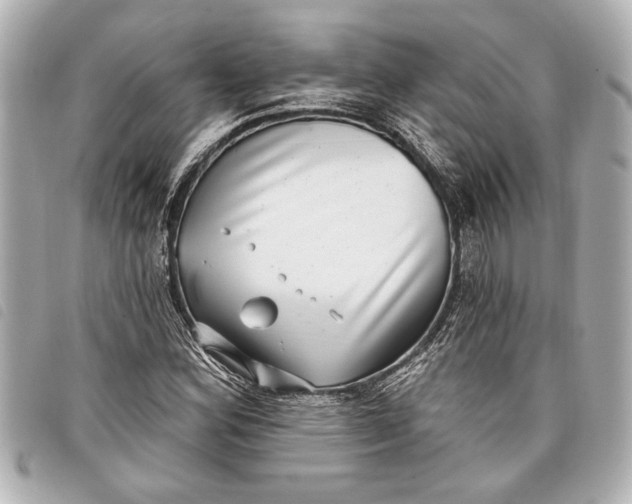 X0000098071164200804181125