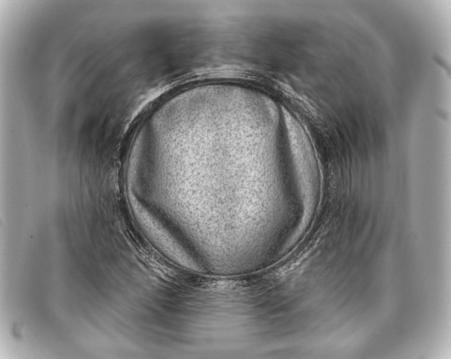 X0000098071166200804181125