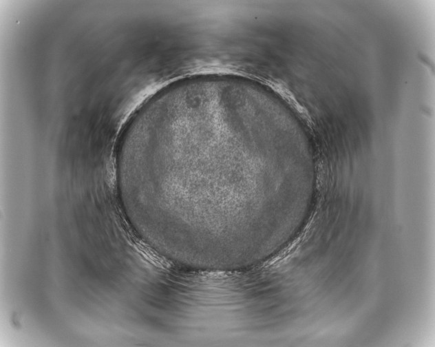 X0000098071167200804181125