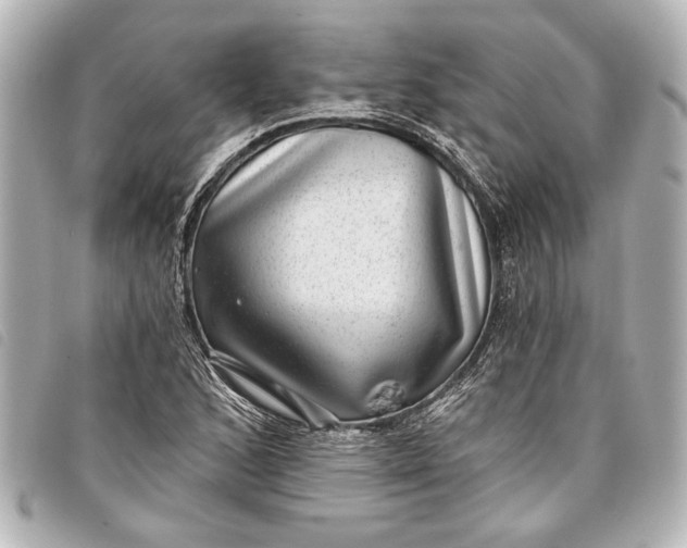 X0000098071168200804181125