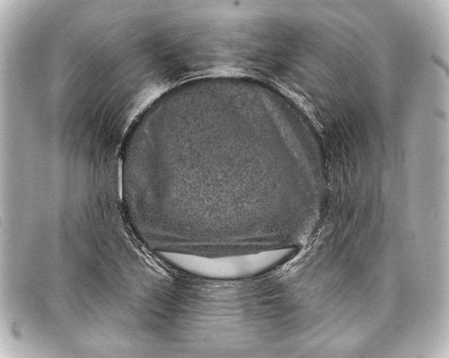 X0000098071171200804181125