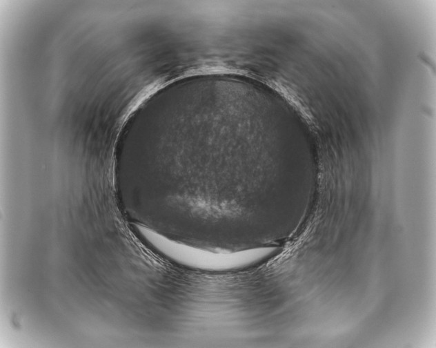 X0000098071173200804181125