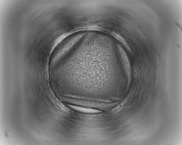 X0000098071176200804181125