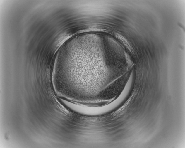 X0000098071177200804181125