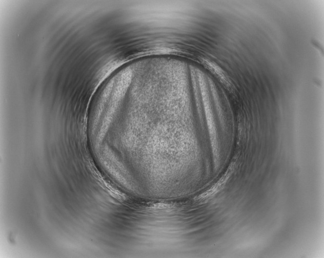 X0000098071178200804181125