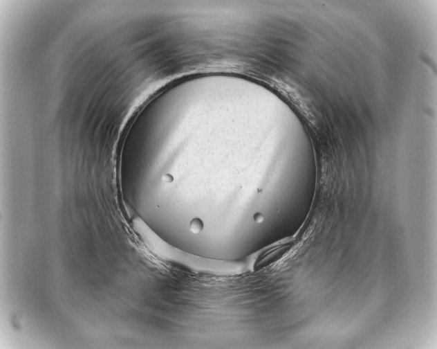 X0000098071184200804181125