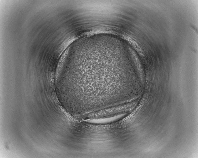 X0000098071185200804181125