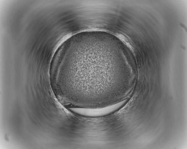 X0000098071189200804181125