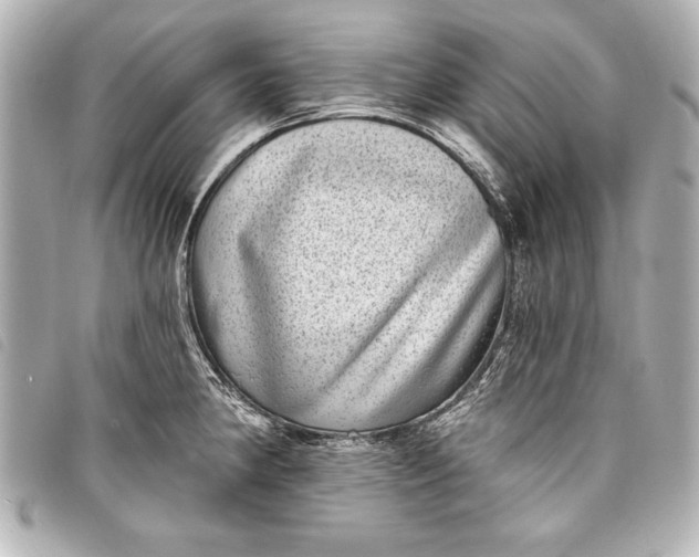 X0000098071190200804181125