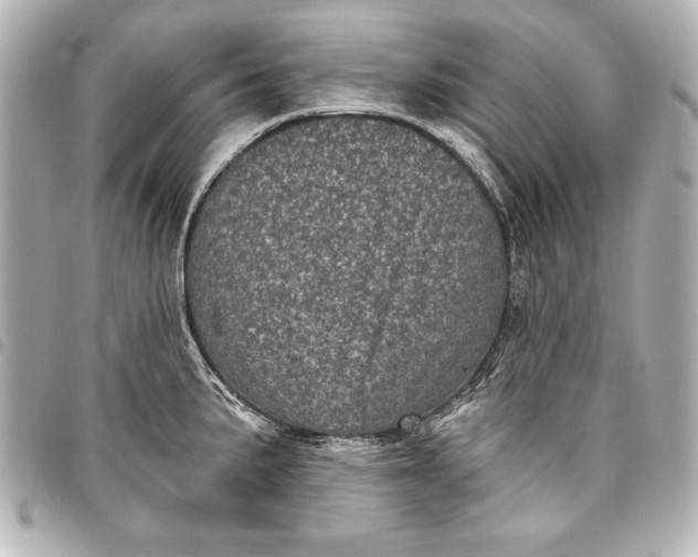 X0000098071191200804181125