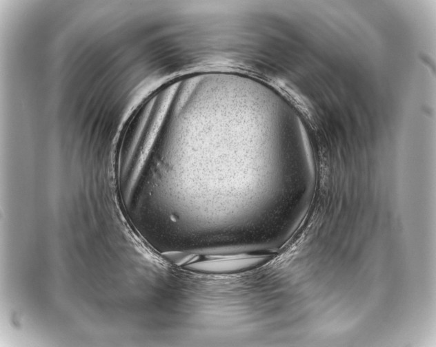 X0000098071192200804181125