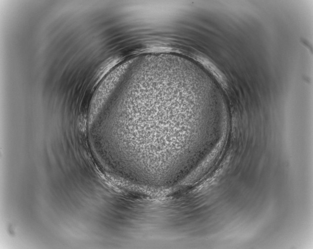 X0000098071193200804181125