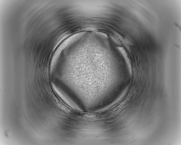 X0000098071194200804181125