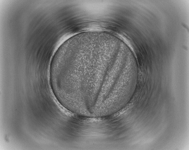 X0000098071195200804181125