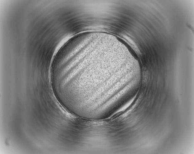 X0000098071196200804181125