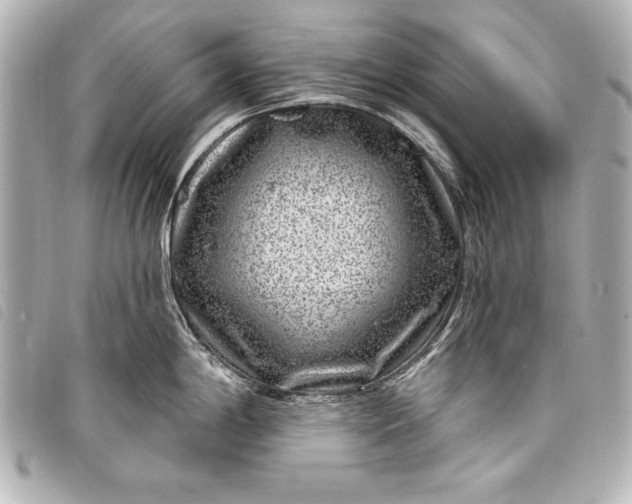 X0000098071198200804181125