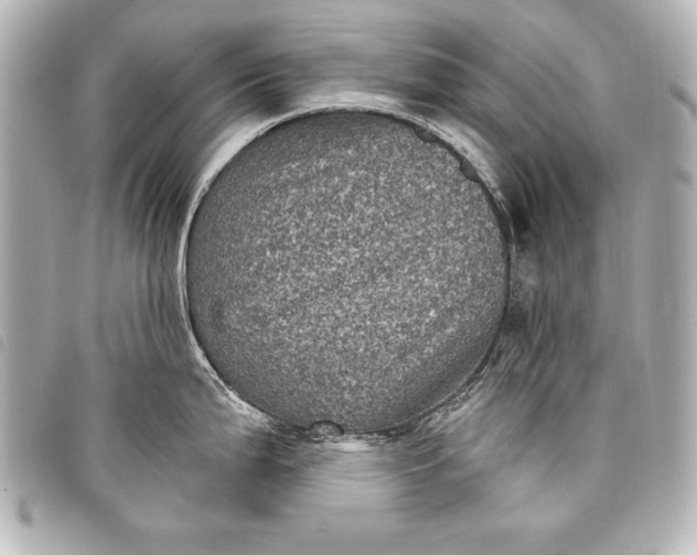 X0000098071199200804181125