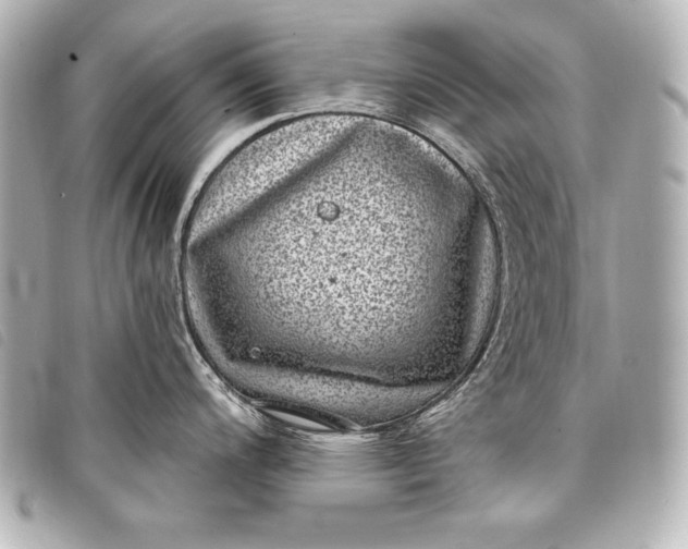 X0000098071200200804181124