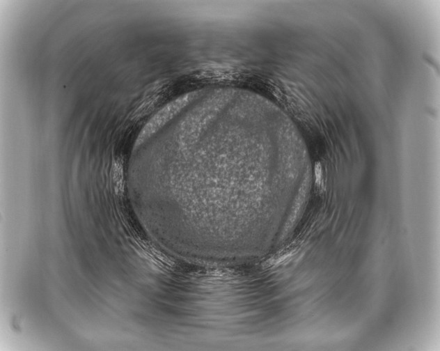 X0000098071203200804181124