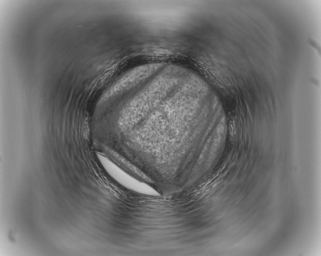 X0000098071204200804181124