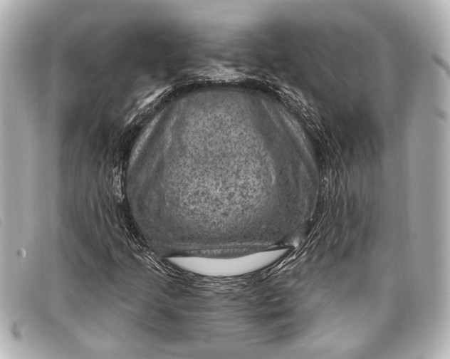 X0000098071205200804181124