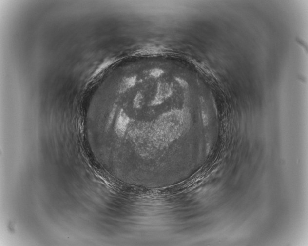 X0000098071206200804181124