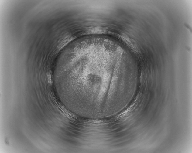 X0000098071209200804181124