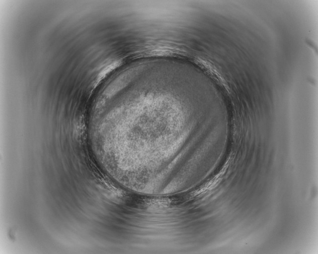 X0000098071210200804181124