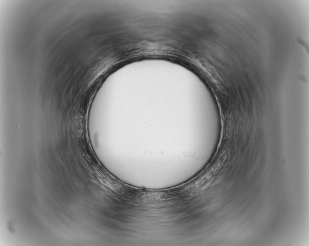 X0000098071211200804181124