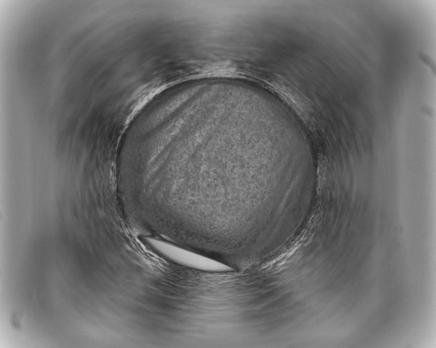 X0000098071212200804181124