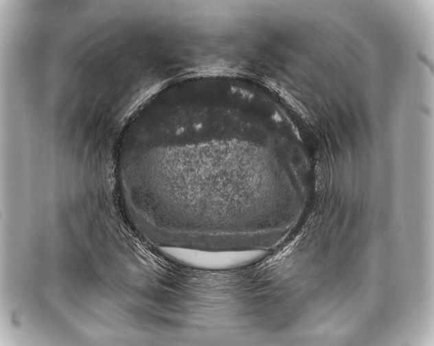 X0000098071213200804181124