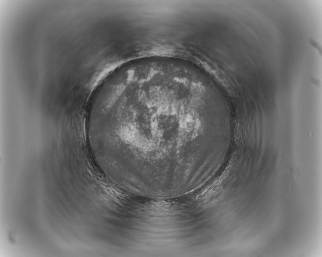 X0000098071214200804181124