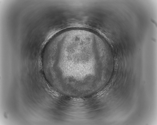 X0000098071215200804181124