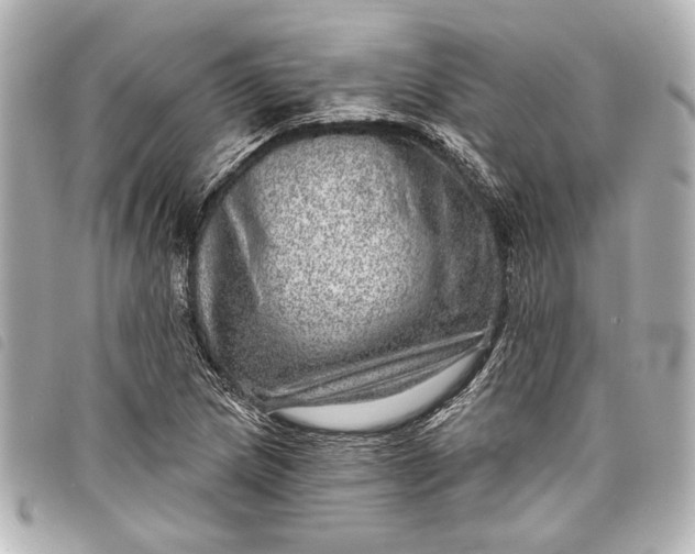 X0000098071217200804181124