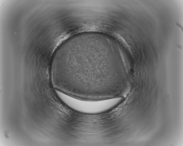 X0000098071218200804181124