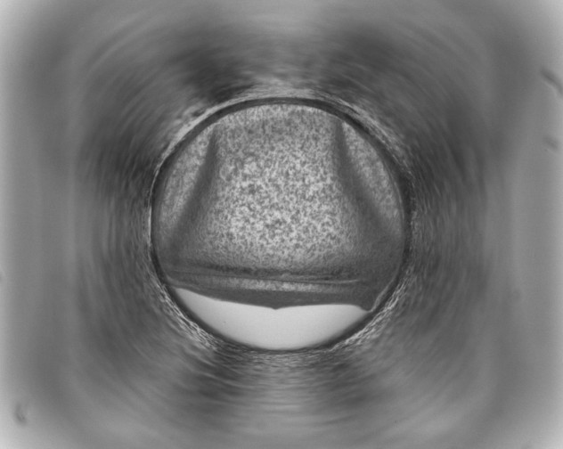 X0000098071220200804181124