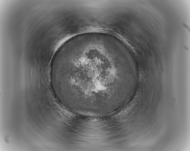 X0000098071222200804181124